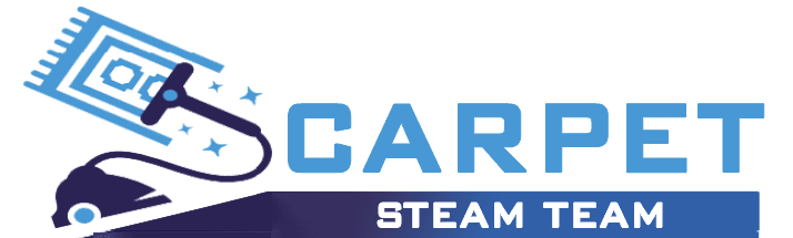 Logo - Carpet Steam Team -